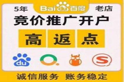 竞价广告的创意与执行：经典案例剖析